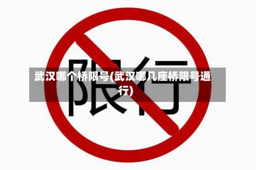 武汉哪个桥限号(武汉哪几座桥限号通行)