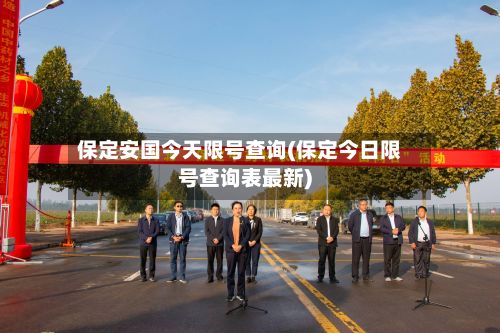 保定安国今天限号查询(保定今日限号查询表最新)