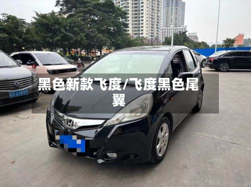 黑色新款飞度/飞度黑色尾翼-第2张图片