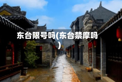 东台限号吗(东台禁摩吗)