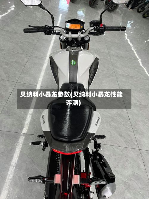 贝纳利小暴龙参数(贝纳利小暴龙性能评测)-第3张图片