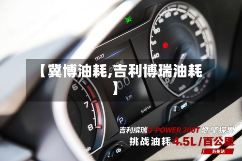 【冀博油耗,吉利博瑞油耗】-第2张图片