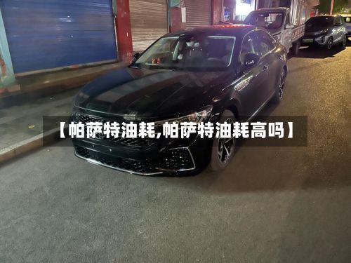 【帕萨特油耗,帕萨特油耗高吗】-第2张图片