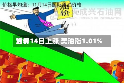 世界油价14日上涨 美油涨1.01%