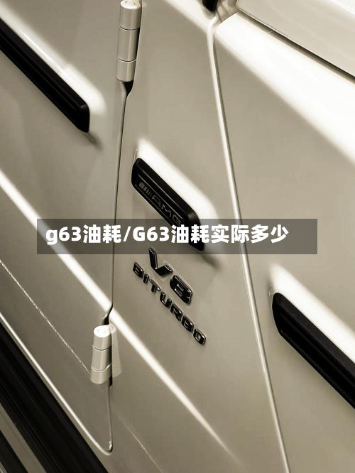 g63油耗/G63油耗实际多少-第2张图片