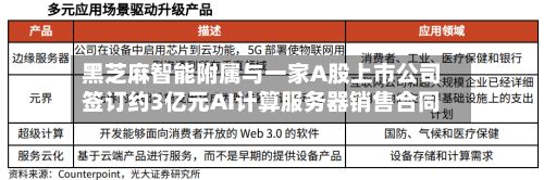黑芝麻智能附属与一家A股上市公司签订约3亿元AI计算服务器销售合同-第3张图片