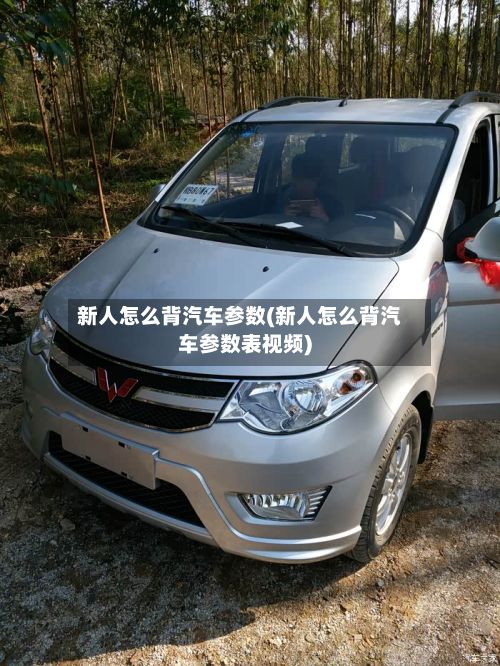 新人怎么背汽车参数(新人怎么背汽车参数表视频)