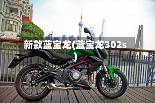 新款蓝宝龙(蓝宝龙302s)-第1张图片