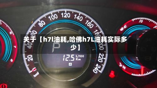 关于【h7l油耗,哈佛h7L油耗实际多少】-第2张图片
