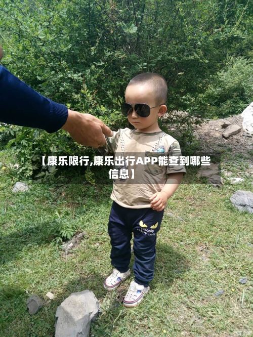 【康乐限行,康乐出行APP能查到哪些信息】-第2张图片