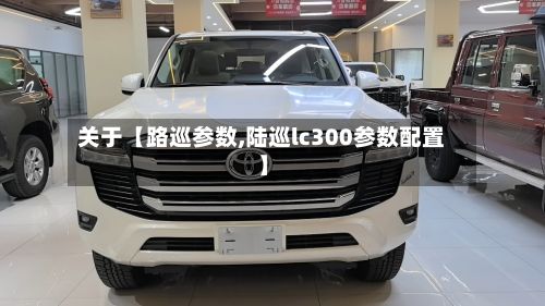 关于【路巡参数,陆巡lc300参数配置】