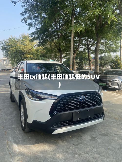 丰田tx油耗(丰田油耗低的SUV)