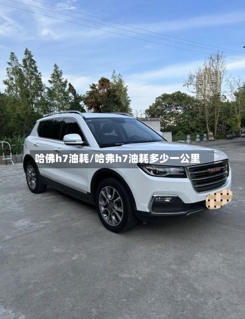 哈佛h7油耗/哈弗h7油耗多少一公里