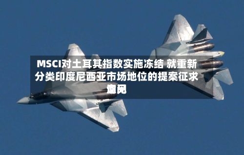 MSCI对土耳其指数实施冻结 就重新分类印度尼西亚市场地位的提案征求询问意见-第2张图片