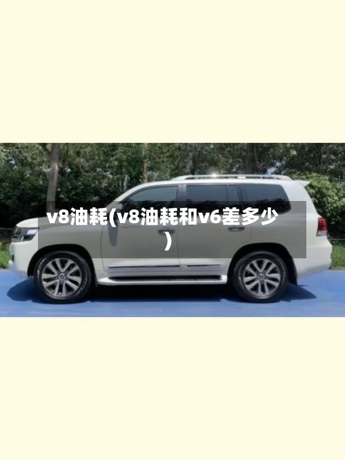 v8油耗(v8油耗和v6差多少)
