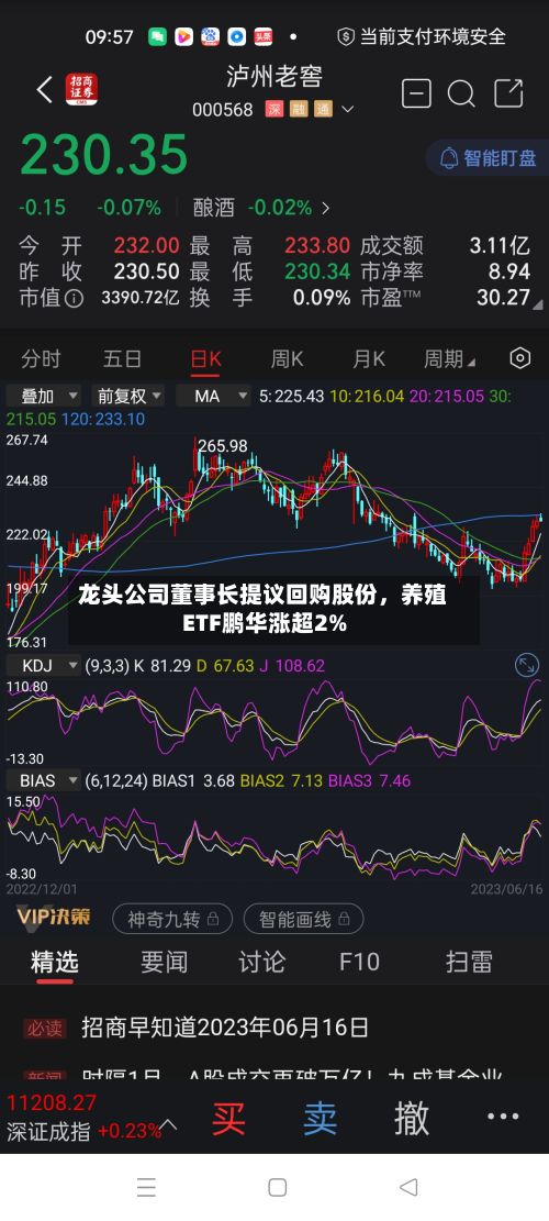 龙头公司董事长提议回购股份，养殖ETF鹏华涨超2%-第2张图片