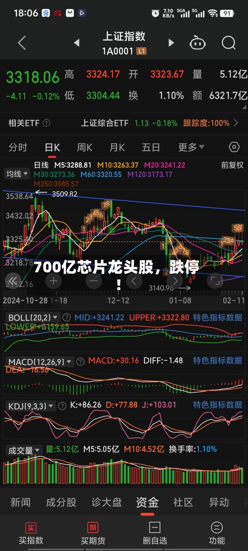 700亿芯片龙头股	，跌停！-第3张图片