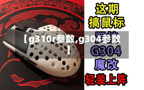 【g310r参数,g304参数】