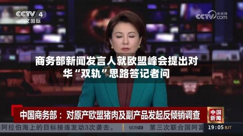 商务部新闻发言人就欧盟峰会提出对华“双轨”思路答记者问-第2张图片