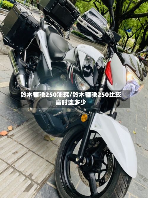 铃木骊驰250油耗/铃木骊驰250比较高时速多少-第3张图片