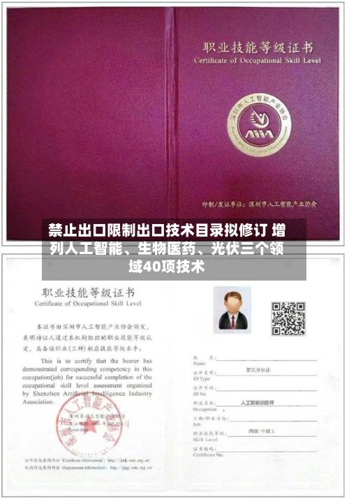 禁止出口限制出口技术目录拟修订 增列人工智能、生物医药、光伏三个领域40项技术-第2张图片