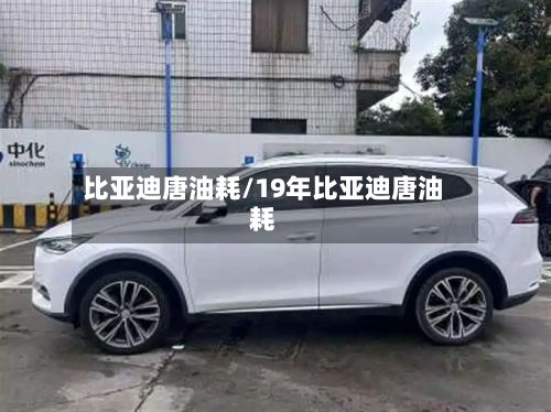 比亚迪唐油耗/19年比亚迪唐油耗-第2张图片