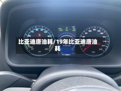 比亚迪唐油耗/19年比亚迪唐油耗