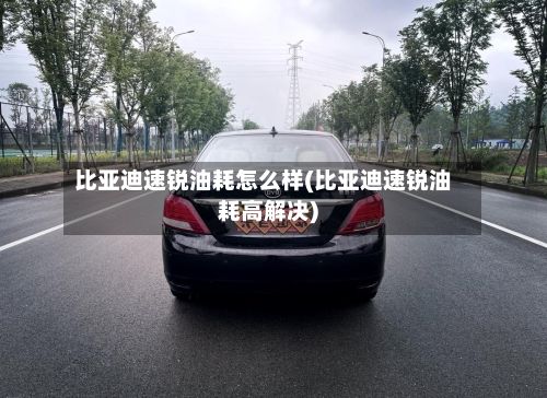 比亚迪速锐油耗怎么样(比亚迪速锐油耗高解决)-第3张图片