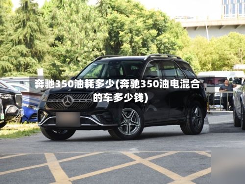 奔驰350油耗多少(奔驰350油电混合的车多少钱)
