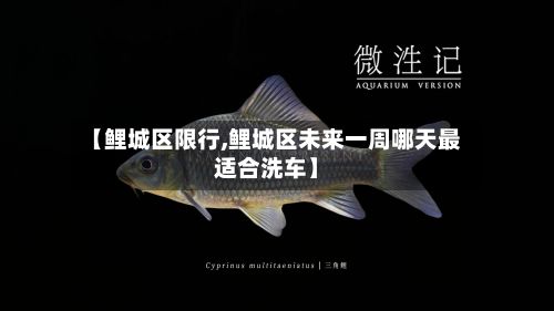 【鲤城区限行,鲤城区未来一周哪天最适合洗车】-第3张图片