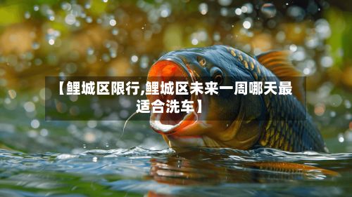 【鲤城区限行,鲤城区未来一周哪天最适合洗车】-第2张图片