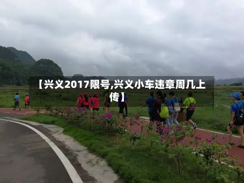 【兴义2017限号,兴义小车违章周几上传】-第2张图片