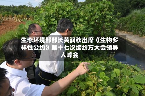 生态环境部部长黄润秋出席《生物多样性公约》第十七次缔约方大会领导人峰会