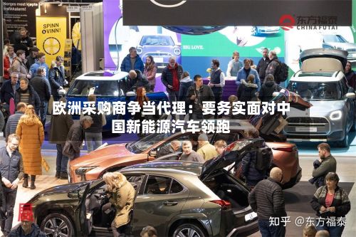 欧洲采购商争当代理:要务实面对中国新能源汽车领跑-第2张图片