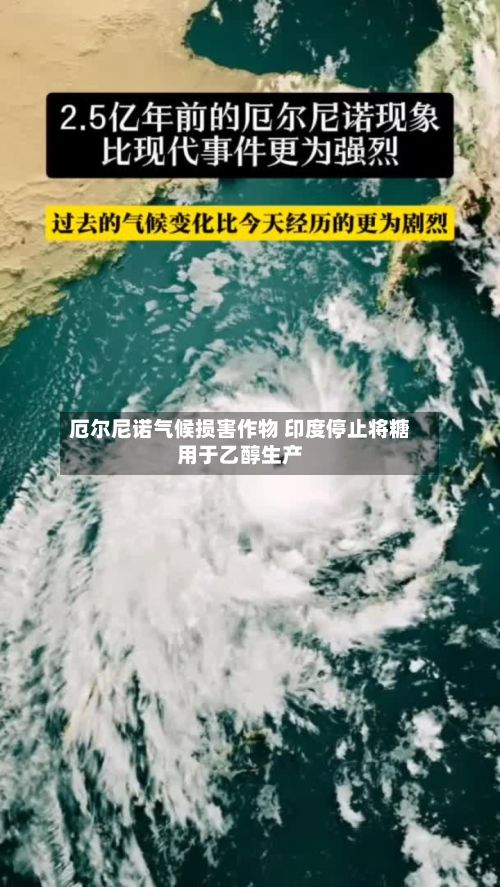厄尔尼诺气候损害作物 印度停止将糖用于乙醇生产