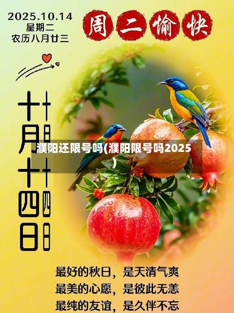 濮阳还限号吗(濮阳限号吗2025)-第3张图片
