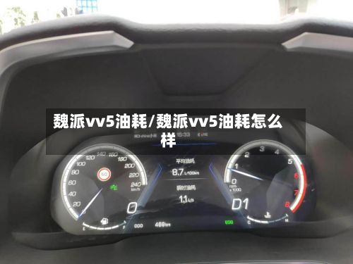 魏派vv5油耗/魏派vv5油耗怎么样-第2张图片