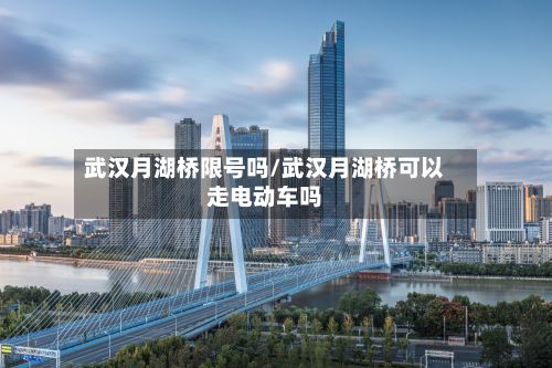 武汉月湖桥限号吗/武汉月湖桥可以走电动车吗