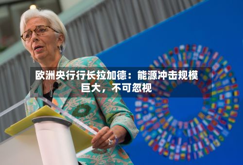 欧洲央行行长拉加德：能源冲击规模巨大	，不可忽视-第2张图片