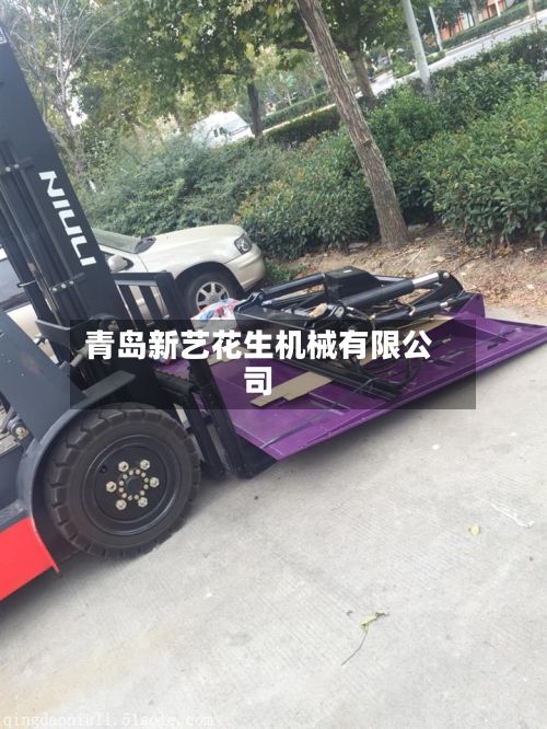 青岛新艺花生机械有限公司