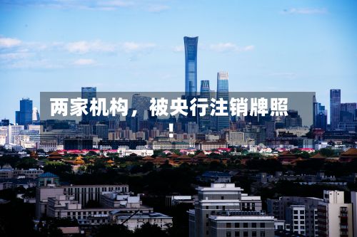 两家机构	，被央行注销牌照！-第2张图片