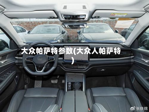 大众帕萨特参数(大众人帕萨特)