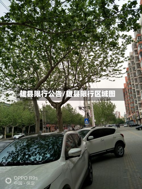 雄县限行公告/雄县限行区域图-第2张图片