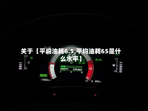 关于【平均油耗6.5,平均油耗65是什么水平】-第2张图片