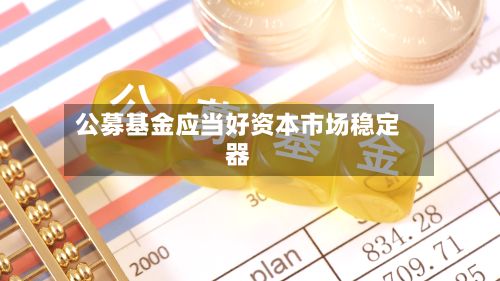 公募基金应当好资本市场稳定器