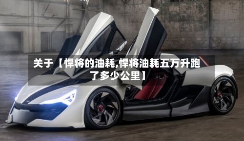 关于【悍将的油耗,悍将油耗五万升跑了多少公里】-第3张图片