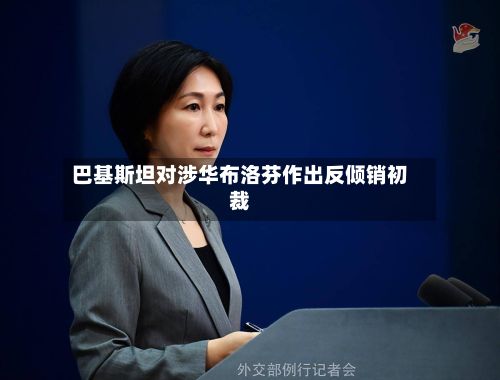 巴基斯坦对涉华布洛芬作出反倾销初裁-第2张图片