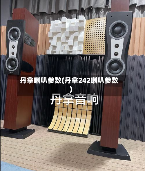 丹拿喇叭参数(丹拿242喇叭参数)