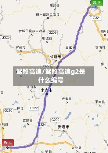 驾照高速/驾照高速g2是什么编号