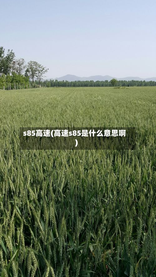 s85高速(高速s85是什么意思啊)